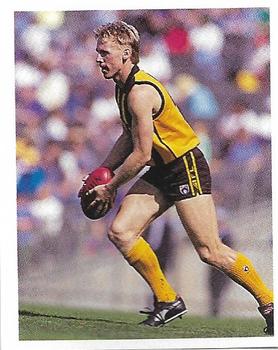 1993 Select AFL Stickers #149 Andrew Collins Front